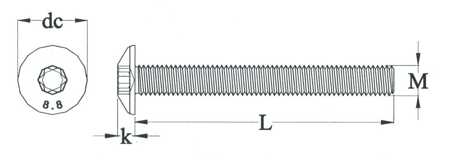 tecnico VITE DI SICUREZZA TESTA MEZZA TONDA